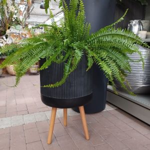 ALZATINA PORTAVASO con piedini in legno